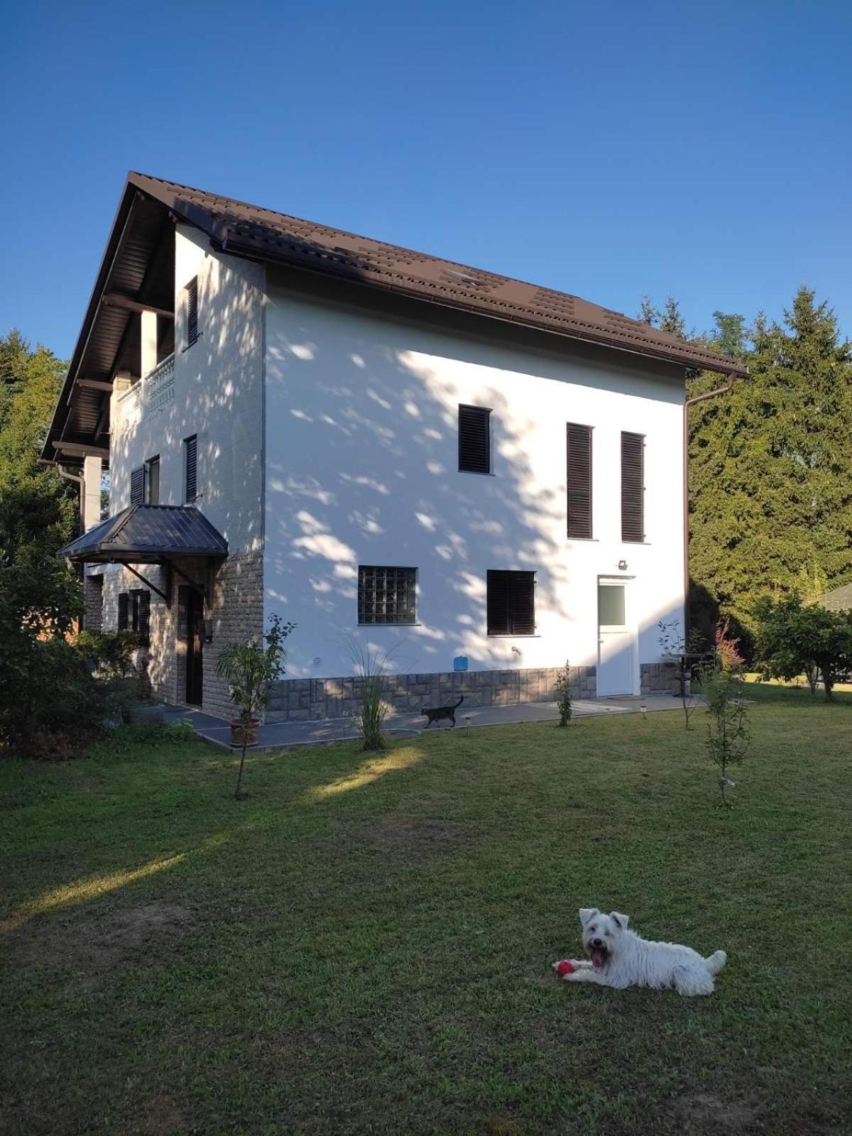 Studio Apartman Gorica Огулин Экстерьер фото